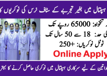 Pakistan Kidney And Liver Institute PKLI Jobs 2026 Apply Online