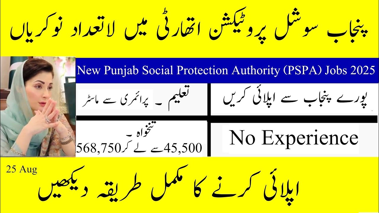 Punjab Social Protection Authority PSPA Jobs Punjab Social Protection Authority PSPA Jobs