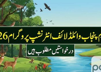CM Punjab Wildlife Internship Program