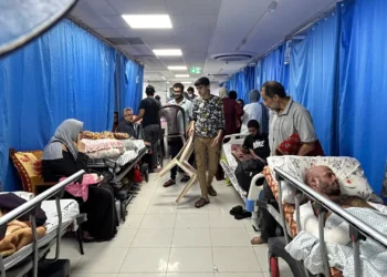 Gaza Hospitals on Brink as Israel Stops Vital Medicines and Equipment