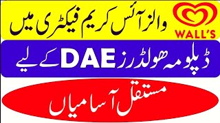 Magnum Ice Cream Company Jobs