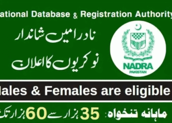 NADRA Jobs Online Apply p
