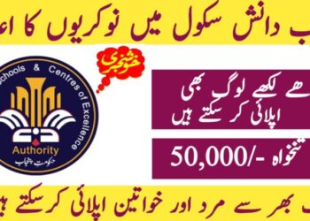 Punjab Daanish School Jobs