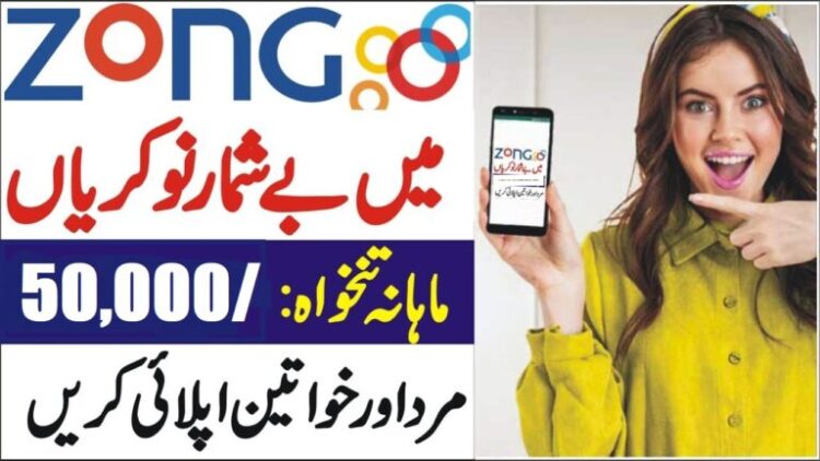 Zong Jobs for Fresh Graduate